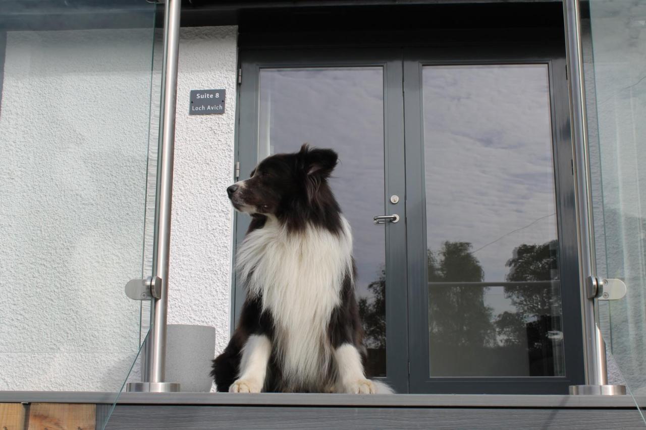 Loch Awe Ben Cruachan Inn - Restaurant, Pub With Rooms מראה חיצוני תמונה